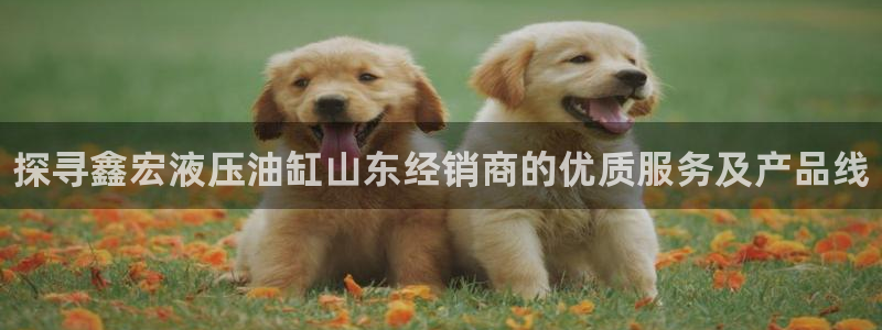 betway必威中国官方网站官网-首页网址登录京东